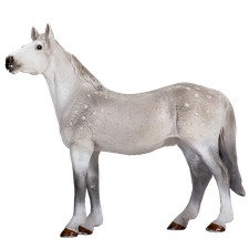 Mojo orlov trotter - mojo, horse