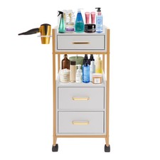 Salon Trolley Cart with Wheels