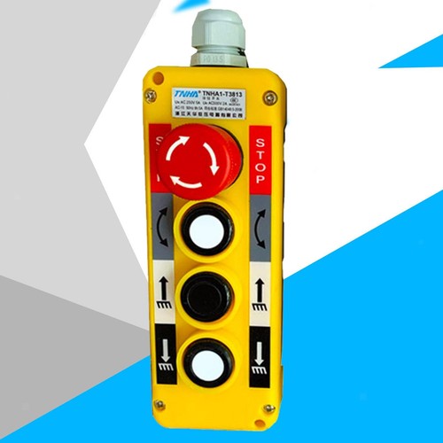 Electric crane remote - electric,