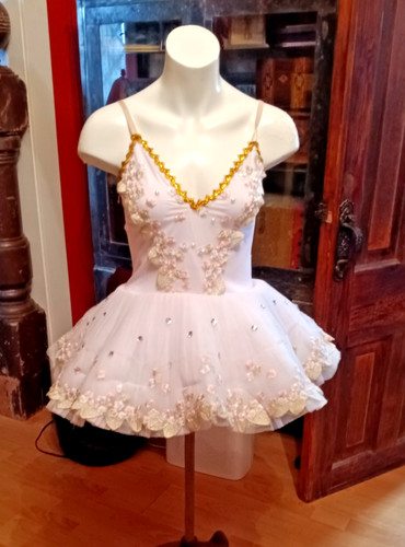 Professional ballet tutu - ballet,