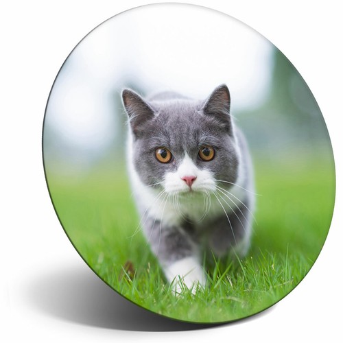 Awesome fridge magnet - fridge,