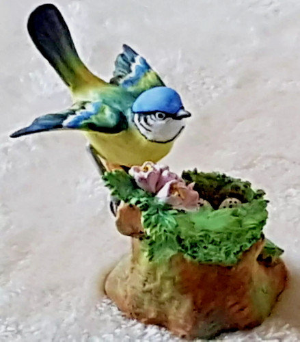 Crown staffordshire tom tit - crown,