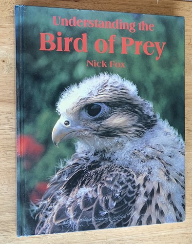 Understanding the bird prey - bird, of