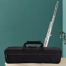 Flute Case for 16 Hole Exterior