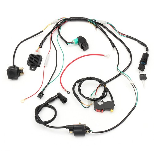 Wiring harness loom - loom, solenoid