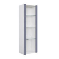 Modern Tall Display Cabinet