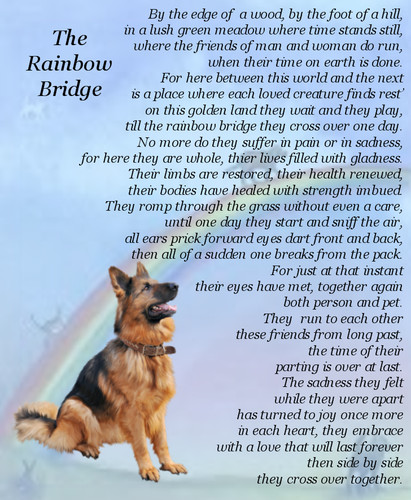 Rainbow bridge for pets pet - for,