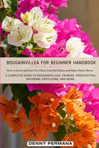 Bougainvillea for beginners - bougainvillea,