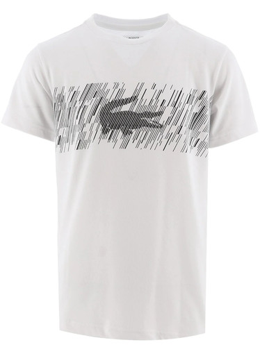 Lacoste boys white - lacoste,