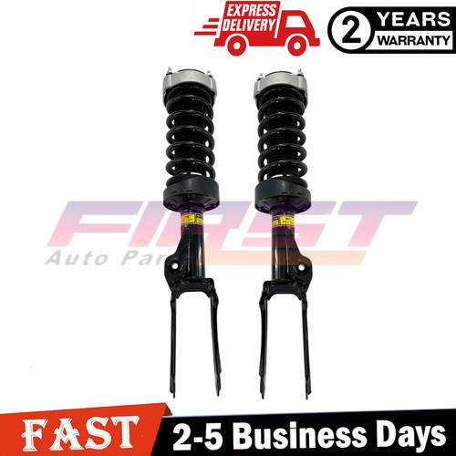 Front shock absorber struts - 2x,