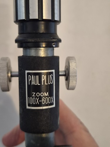 Vintage paul plus zoom 100x600 - vintage,
