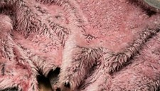 Curly teddy faux fur fabric - teddy,