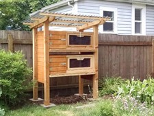 Backyard Quail Coop Plans: The