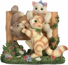 Calico Kittens Cats Playing on