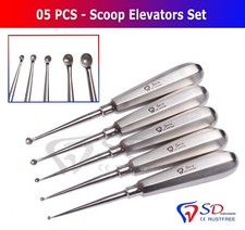 5 Pcs Set of Volkmann Bone