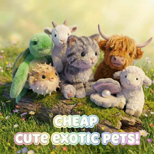 Selling cheap EXOTICS!! Goats