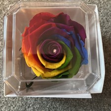A 100% Real Rose That Lasts