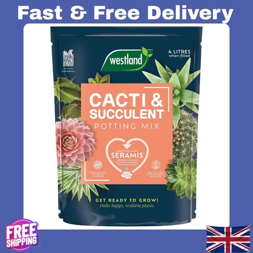 Westland cacti succulent - cacti,