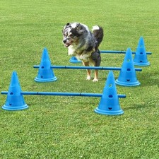 Dog Agility Set Jump Training