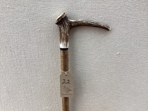 Red deer antler walking - deer,