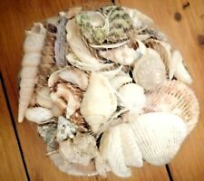 Mixed Sea Shells 200g