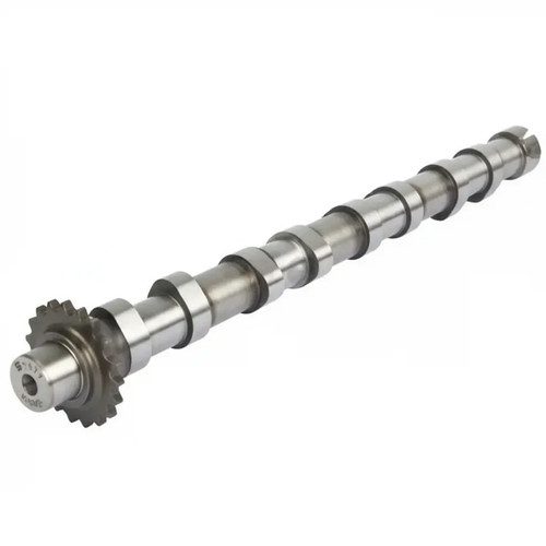 Camshaft intake side - intake, 50007871