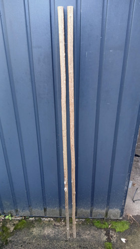 Hazel walking stick shanks - hazel,