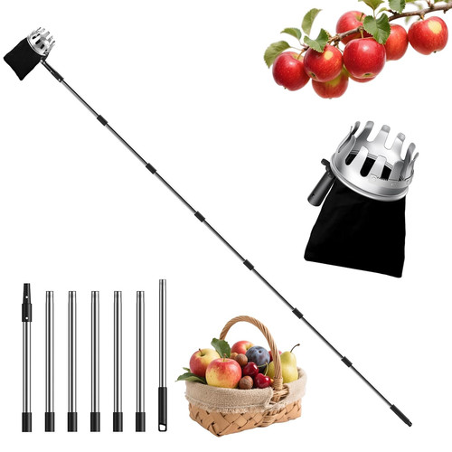 Fruit picker sections - fruit,