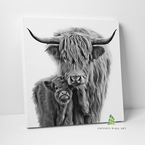 Highland cow and - highland, baby