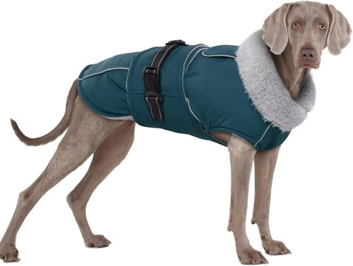 Xxl dog coat - coat,, jackets