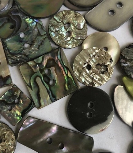 Job lot shell buttons - shell,