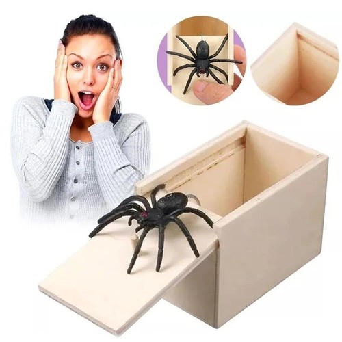 Funny spider prank box - funny,