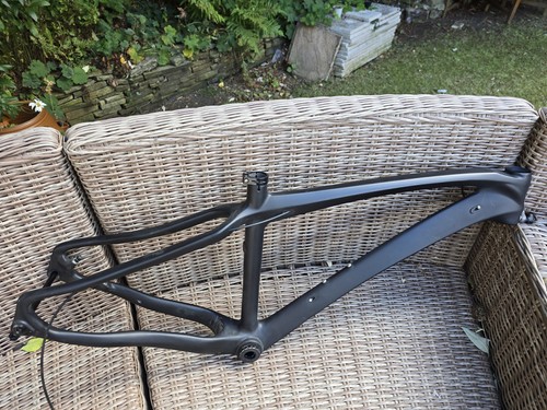 Carbon fibre mountain - mountain, bike