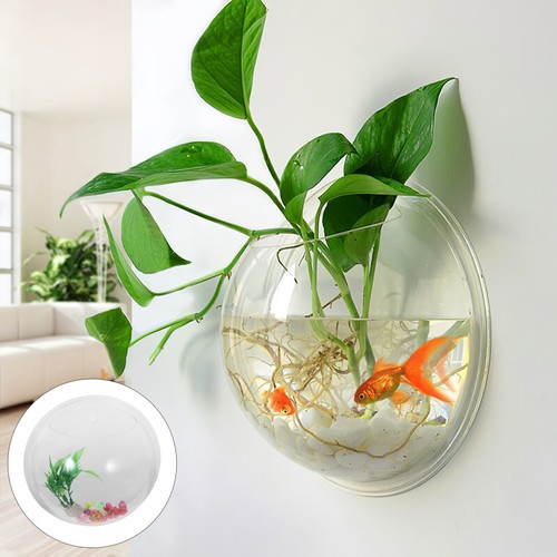 5cm aquarium supplies - .5cm, fish