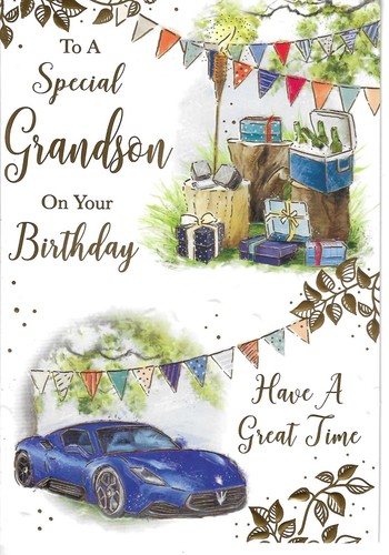 Special grandson birthday - special,