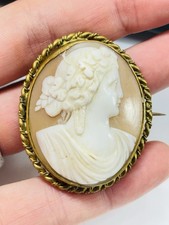 Antique high quality shell