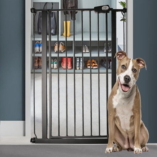 Bettacare dog safety - dog,