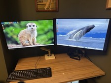 2 X HP E24 G4 24" Monitor Hdmi