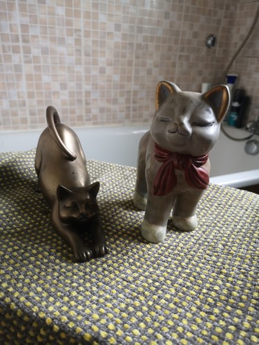 Shudehill giftware cats - shudehill,