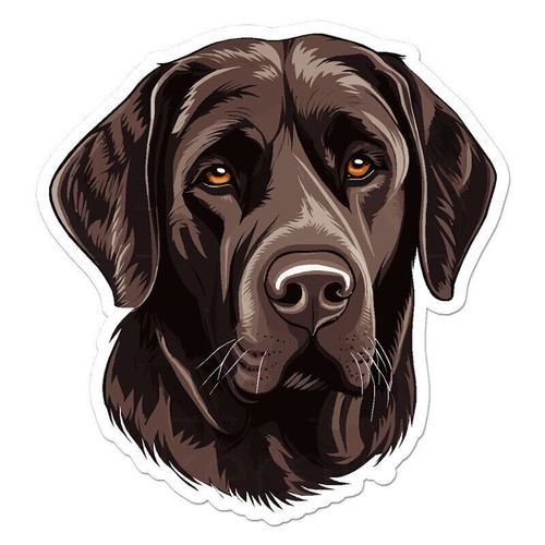 Chocolate labrador dog - chocolate, sticker