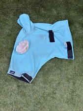 Snuggy Hoods Horse Sweet Itch Relief Mask Pull On Haint Blue XL