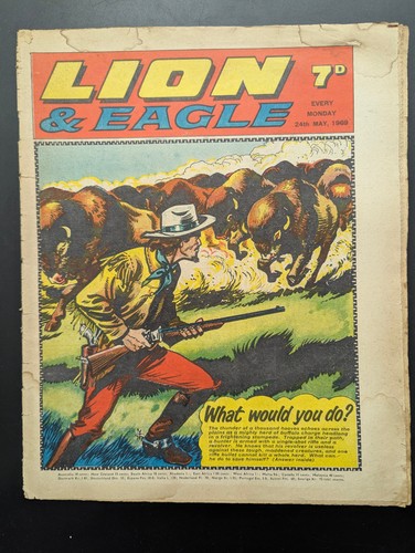 Lion and eagle comic 24th - eagle,