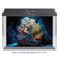 Yellow Sea Floor Coral