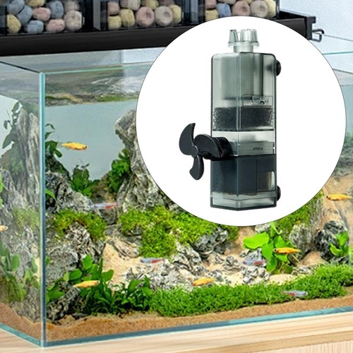 Aquarium surface protein - aquarium,