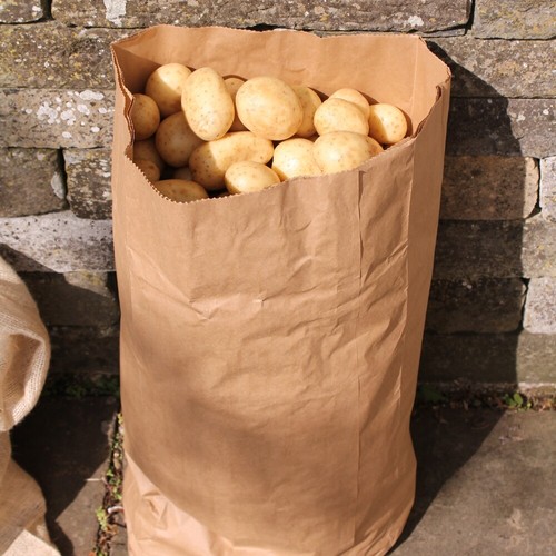 Recyclable paper potato - recyclable,