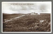 Vintage RP postcard Cat &