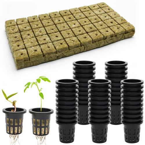100 pcs rockwool cube - pcs,
