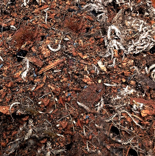 Specialty terrarium soil mix - specialty,
