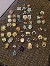 vintage enamel lapel badge