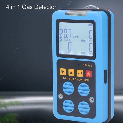 Portable gas detector h2s - portable,